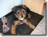 �umiv� Maxime