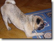 Hugou�ek