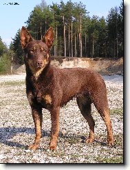 Braya Xapat�n