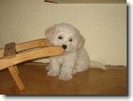 na�e Keisy