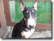 na priedom�