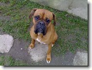 M�j krasavec!