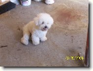 Max�k