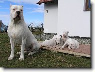 Ricardo a jeho C d�ti