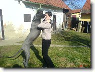 �epity �ept