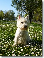 Meggy v sedmikr�sk�ch:o)