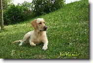 B�ra