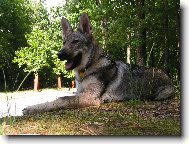 Annie z Hol�tejna