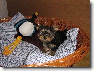 Bert�k a pt�k