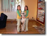 Orin a dvoj�ata