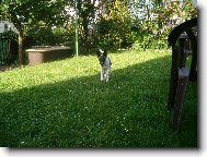 Bessy z Rump�lu
