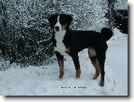 Abora z Velk�ho �jezda