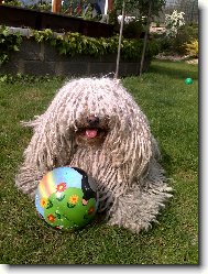 Lenke s bal�nkem