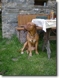 Arketka(21 m�s�c�)