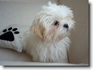 Zasn�n� Tinka