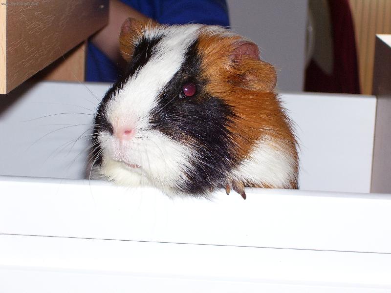 Foto: Miki