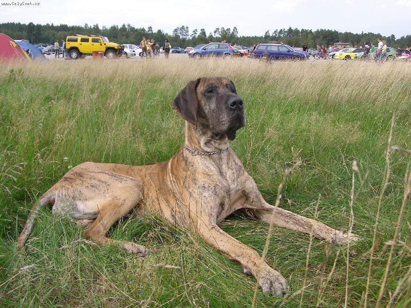 Foto: Ascani