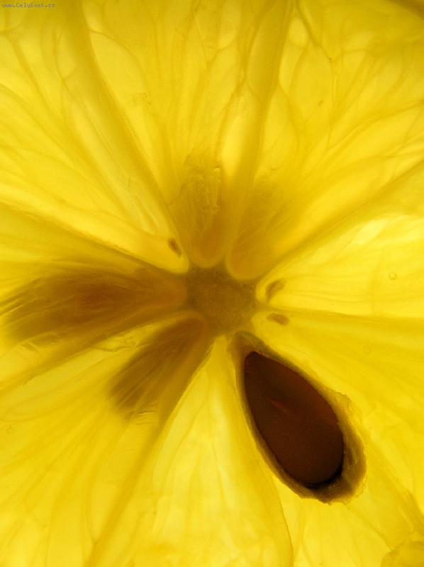Foto: Citron