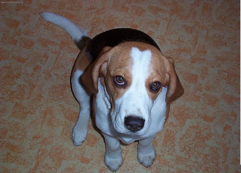Foto: Chcete m�?
