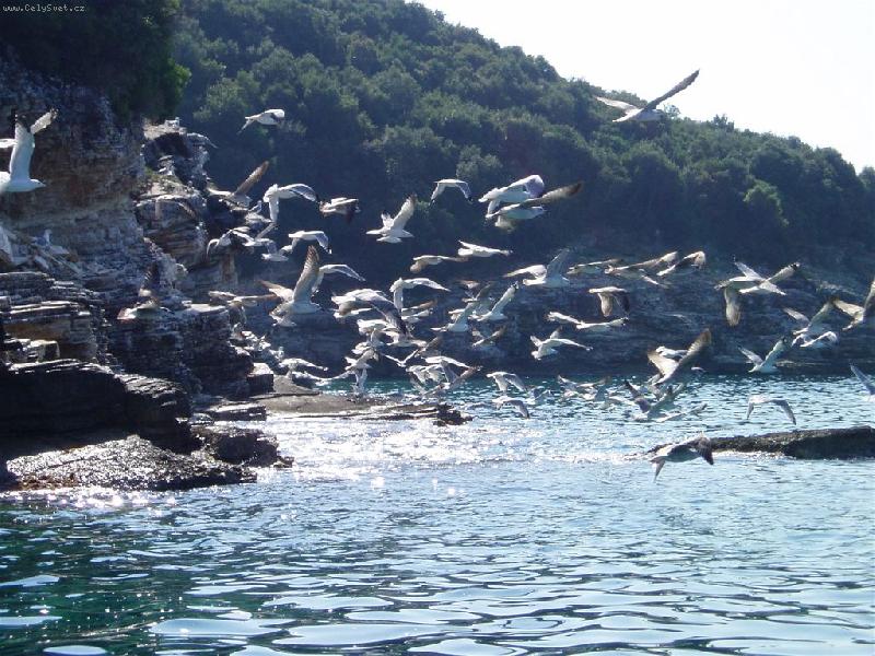 Foto: �ecko-racci