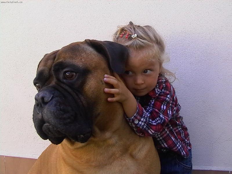 Foto: KAMAR�DI