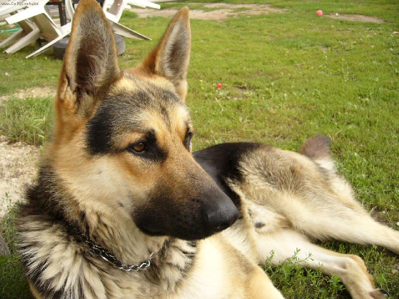 Foto: Nero