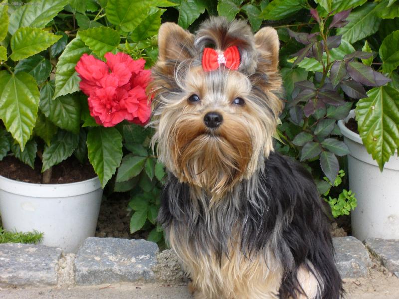 Foto: Sendy-Mil��ek rodiny