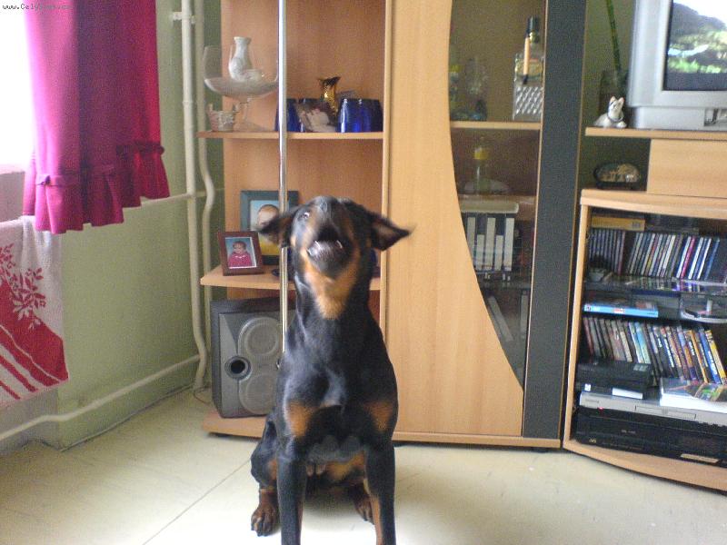 Foto: Stacy