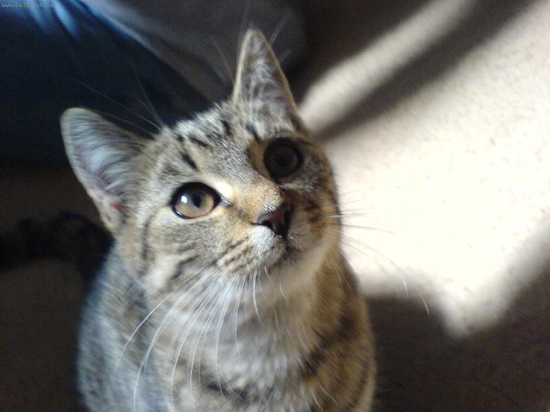 Foto: Micka