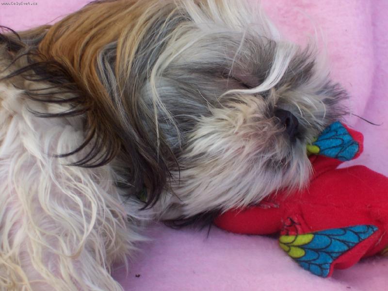 Foto: Na�e Elinka