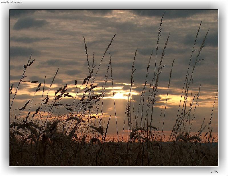Foto: podve�er...
