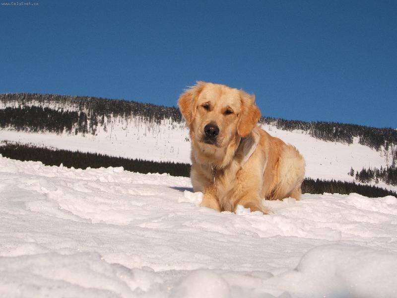 Foto: Willy