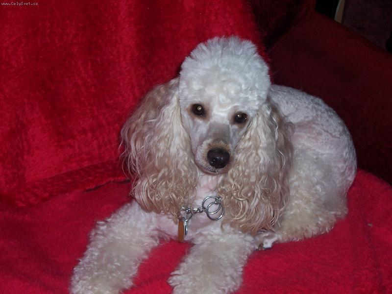 Foto: Nelinka