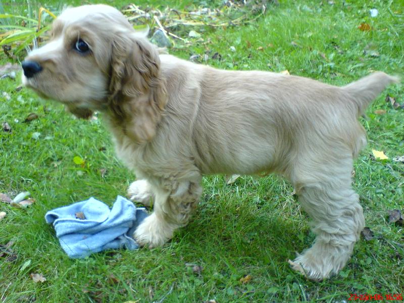 Foto: Charlie