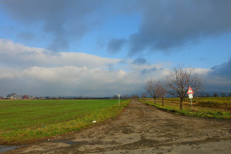 Foto: Cesta