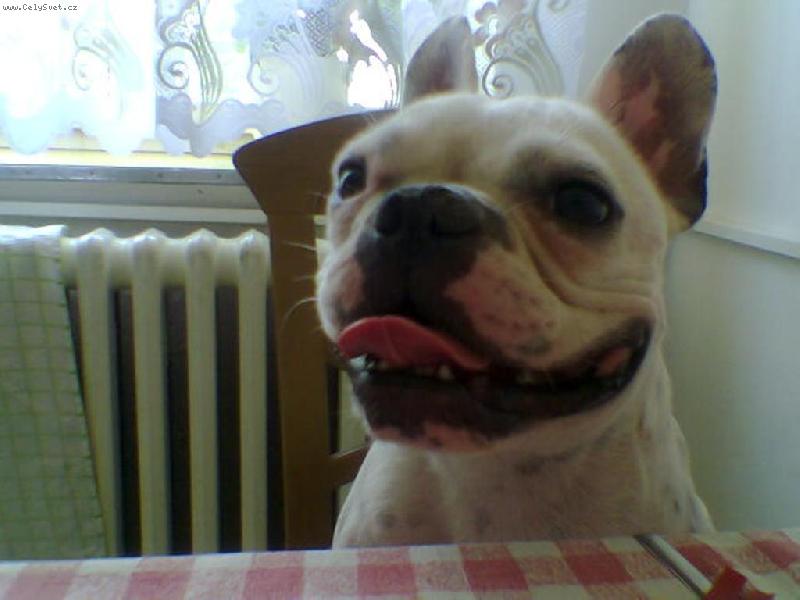 Foto: ORINKA