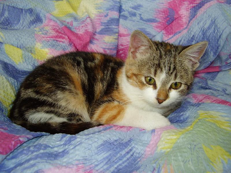 Foto: �ikynka