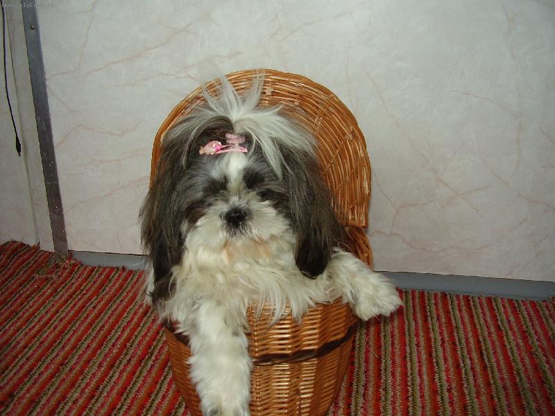 Foto: Ginka