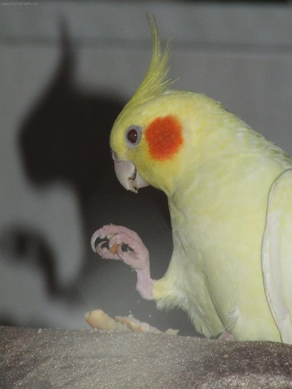 Foto: Edou�ek