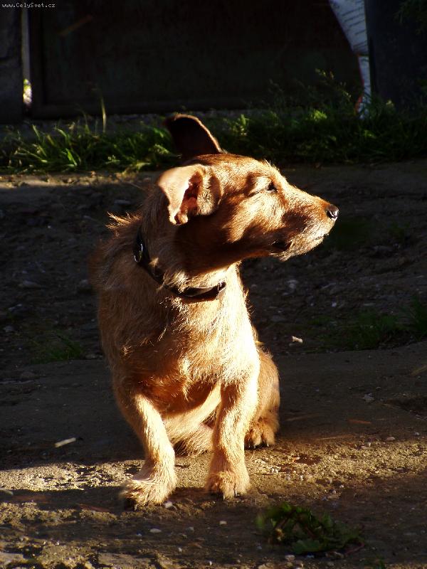 Foto: P��jem................