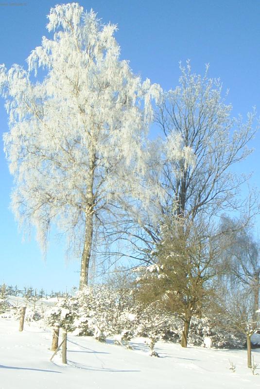 Foto: Zima-Nejni to kr�sn� v zim�