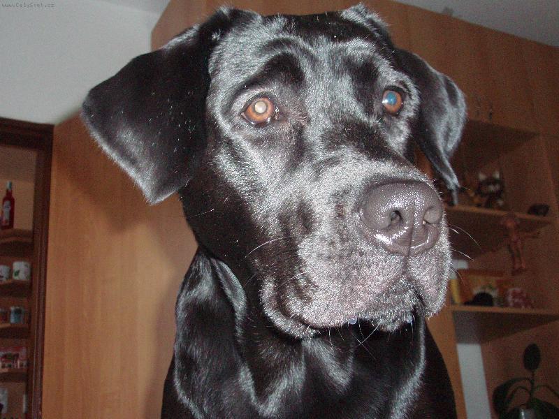 Foto: Elsa