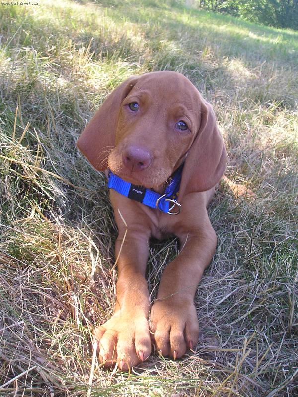 Foto: *Rocky*-:)