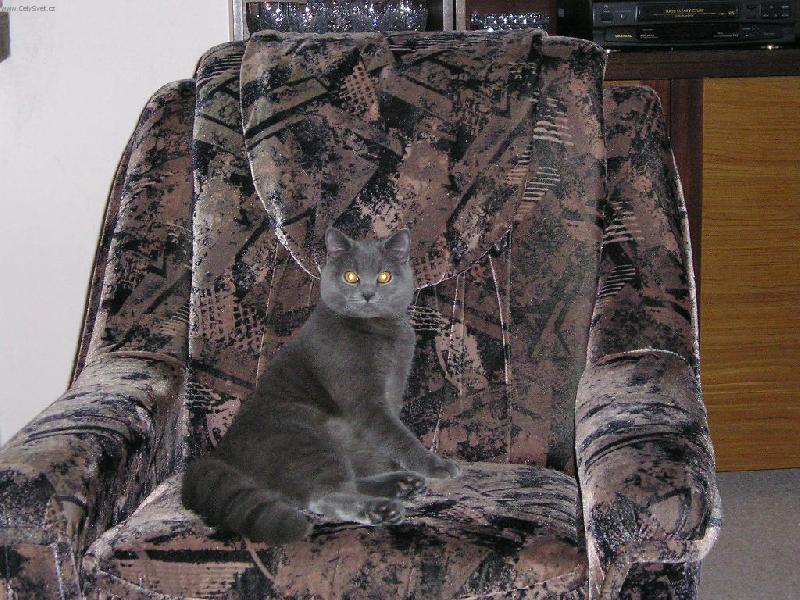 Foto: Leonek