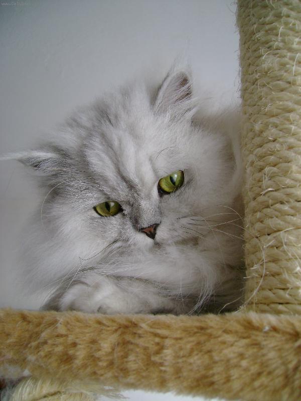 Foto: Sofinka