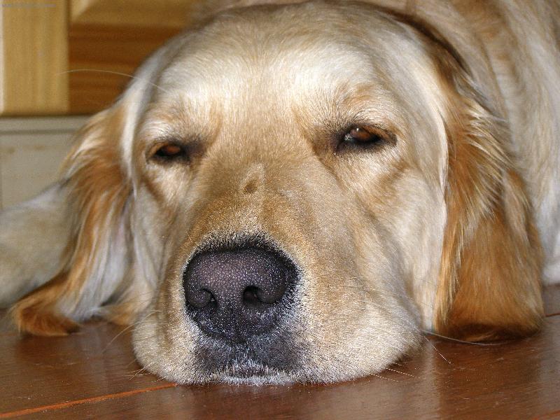Foto: Sandy-Pohoda