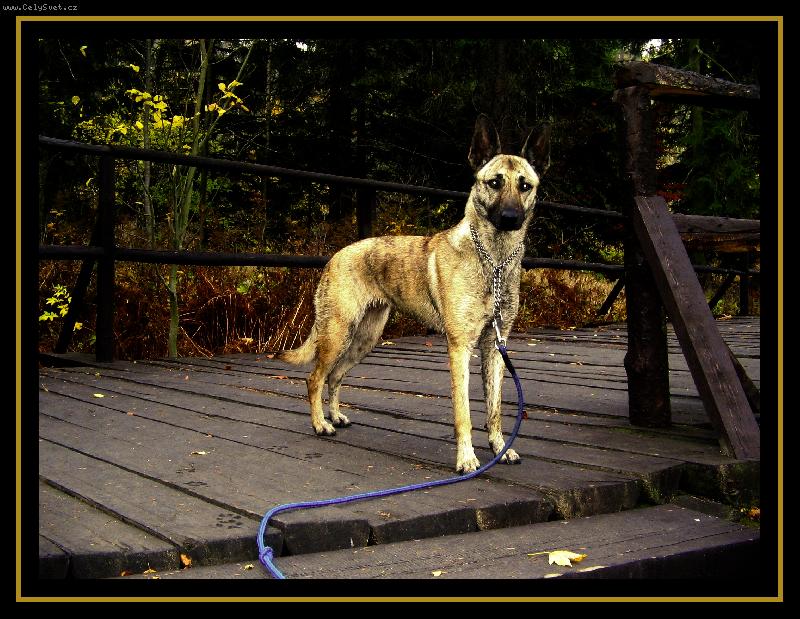 Foto: Zlat��ko
