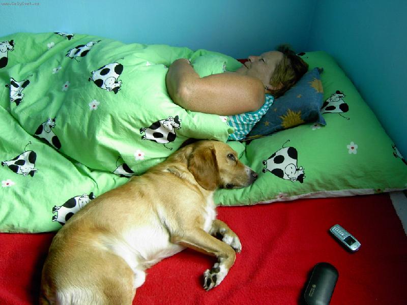 Foto: Siesta
