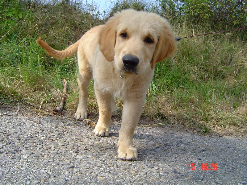 Foto: Clark