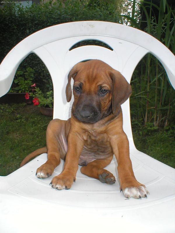 Foto: Cooper